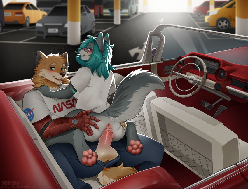 anthro balls blush canid canine car clothed clothing digital_media_(artwork) duo erection female female_penetrated fur genitals hair hi_res looking_at_viewer male male/female male_penetrating male_penetrating_female mammal nude open_mouth outside parking_lot penetration penis public public_sex pussy sashunya sex smile vaginal_penetration vaginal_penetration vehicle