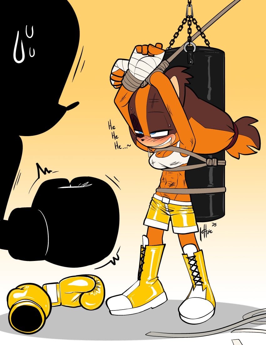1ambiguous 1girls abs ahe_gao arms_above_head black_eye blush boxing_gloves boxing_shorts commission drooling female female_pervert femsub gradient_background hand_wraps horny_female laugh lettuce_(artist) muscular muscular_female nervous_top pants_falling_down punching_bag qqlettuce ryona shiny_clothes silhouette sonic_(series) sonic_boom sonic_the_hedgehog_(series) sticks_the_badger tied_to_punching_bag unsure_dom