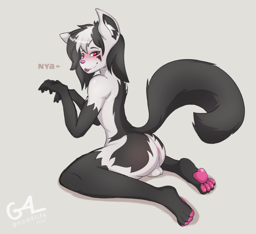 anthro anus ass balls black_body black_fur blush fur genitals girly good4life4ever grey_body hi_res looking_at_viewer male mightyena nintendo pawpads paws pokémon_(species) pokemon raised_tail sitting solo thick_thighs video_games wide_hips