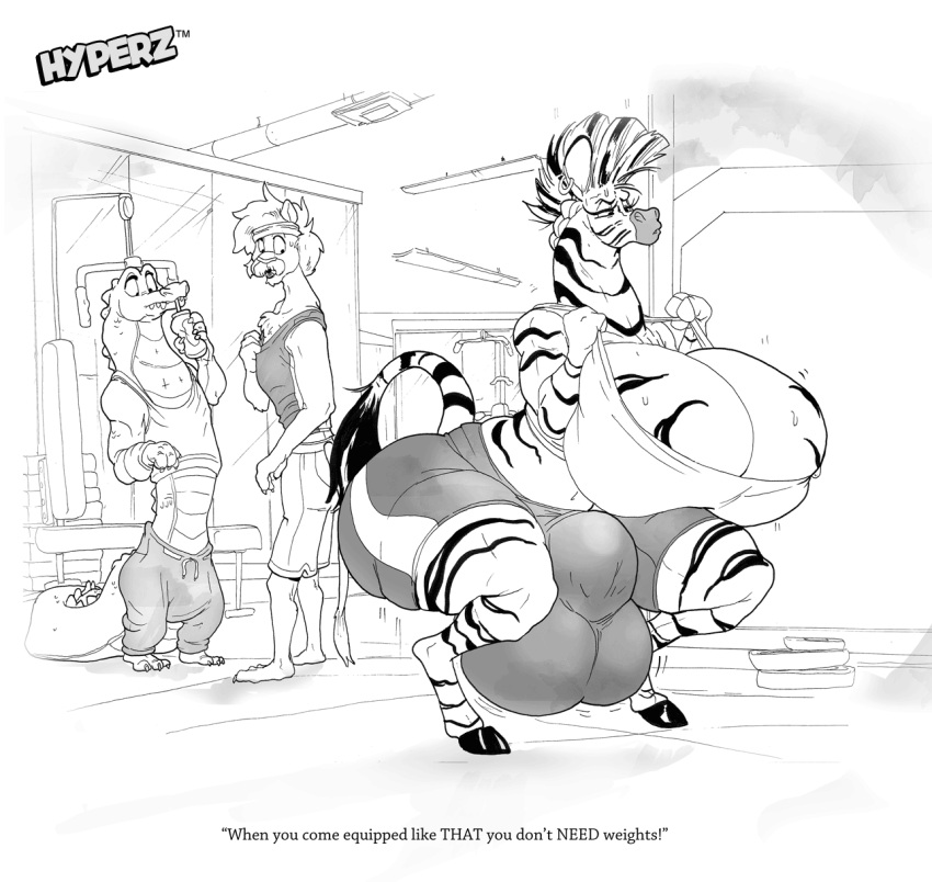 1futa 2boys anthro balls big_breasts breasts caption clothed clothing fully_clothed fully_sheathed furry futa_focus futa_is_bigger futanari gigantic_breasts gigantic_testicles gym male monochrome penis rabid sheath squatting tagme thick_thighs wide_hips workout workout_clothes zebra