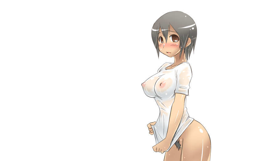 aaaa breasts brown_eyes nipples pubic_hair see-through sheer white_background