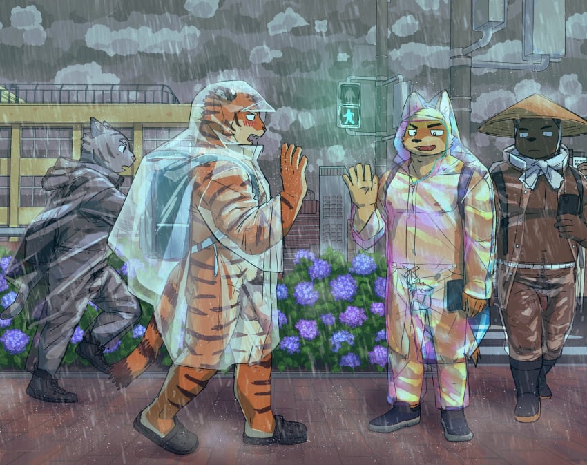 2022 anthro balls brown_body canid canine canis clothing coat detailed_background domestic_dog felid flaccid genitals group hat headgear headwear hi_res humanoid_genitalia humanoid_hands humanoid_penis kemono male male_only mammal orange_body outside pantherine penis raincoat raining royalsobatya tiger topwear translucent_raincoat ursid walking