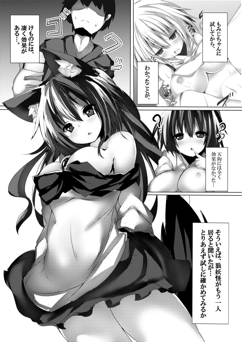 aya_shameimaru female kagerou_imaizumi momiji_inubashiri mutou_mame shameimaru_aya tagme touhou wolf_girl