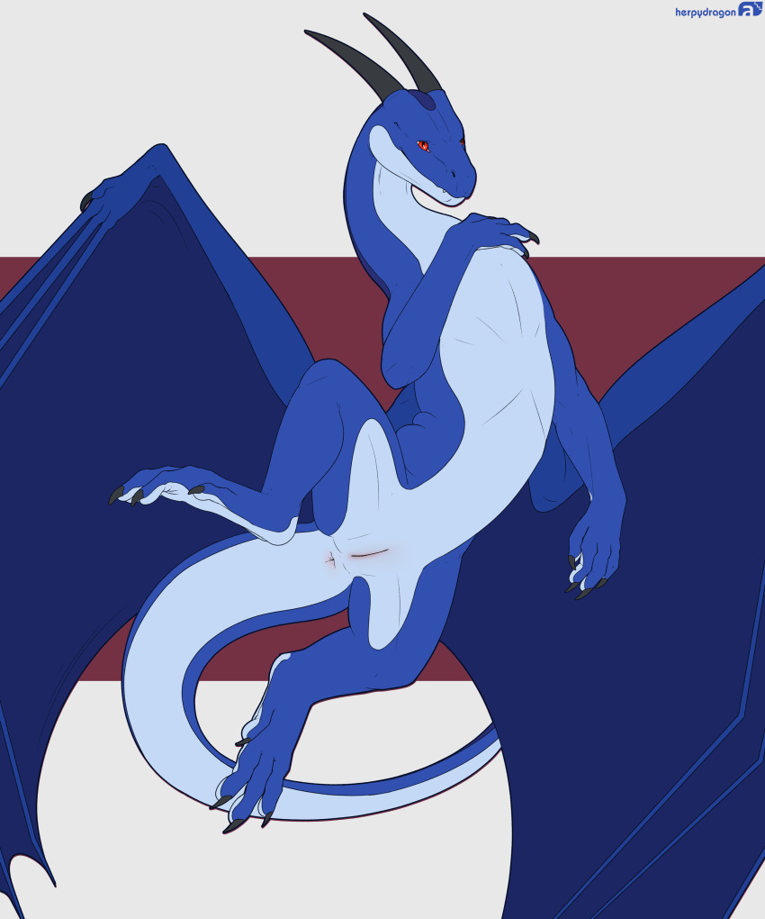 2022 absurd_res animal_genitalia anus belly_up blue_body blue_tail blue_wings dragon female feral genital_slit genitals glax herpydragon hi_res horn membrane_(anatomy) membranous_wings orange_eyes pinup pose pussy scalie simple_background slit solo sprawling wings