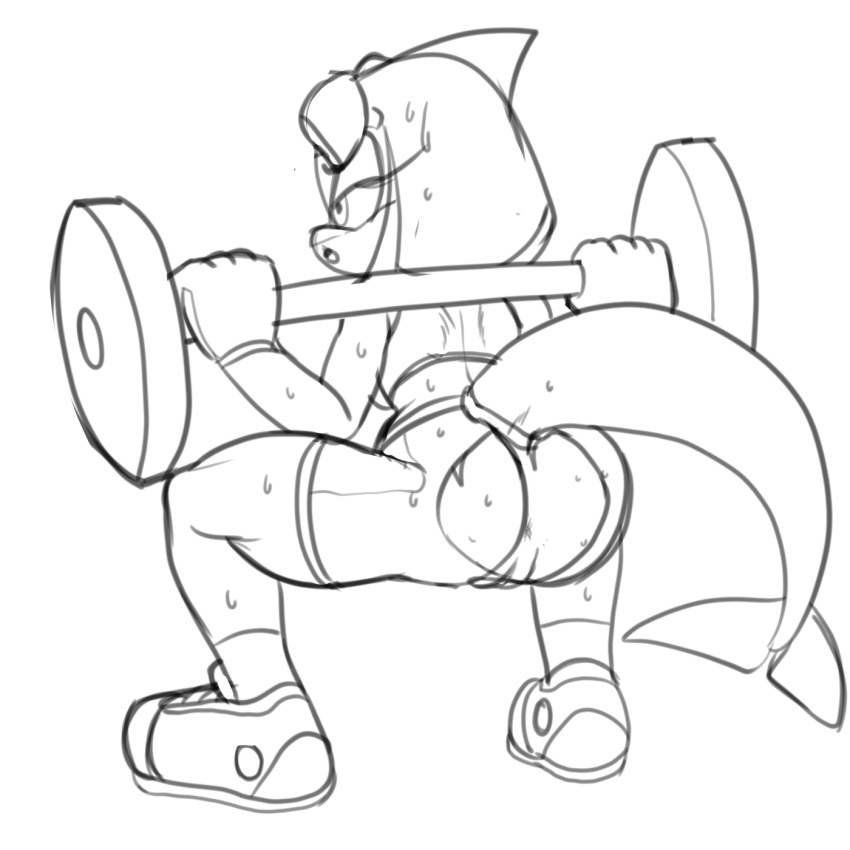 anthro anus bodily_fluids cetacean clothing crouching delphinoid exercise female footwear fours_(artist) genitals hi_res mammal marine pussy sega shoes solo sonic_(series) sonic_legacy sonic_the_hedgehog_(series) sweat tempest_the_dolphin toothed_whale torn_clothing workout