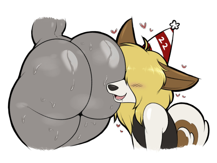 ass_worship axel_(xmetalhusky) big_ass bubble_butt drooling furry hair_over_eyes huge_ass sweaty sweaty_ass tagme xmetalhusky