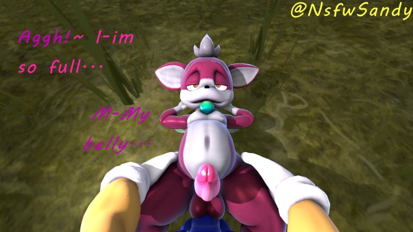 3d anal anal_insertion anal_sex belly_button blue_penis brown_eyes chip_(sonic) cumflated_belly dialogue filled_belly gloves grabbing_from_behind grabbing_hips grass male/male male_penetrated muscles nsfwsandy orgasm_face pov purple_fur render satisfied satisfied_look satisfied_smile sfm sonic_(series) sonic_the_hedgehog sonic_the_hedgehog_(series) toned_belly top_view