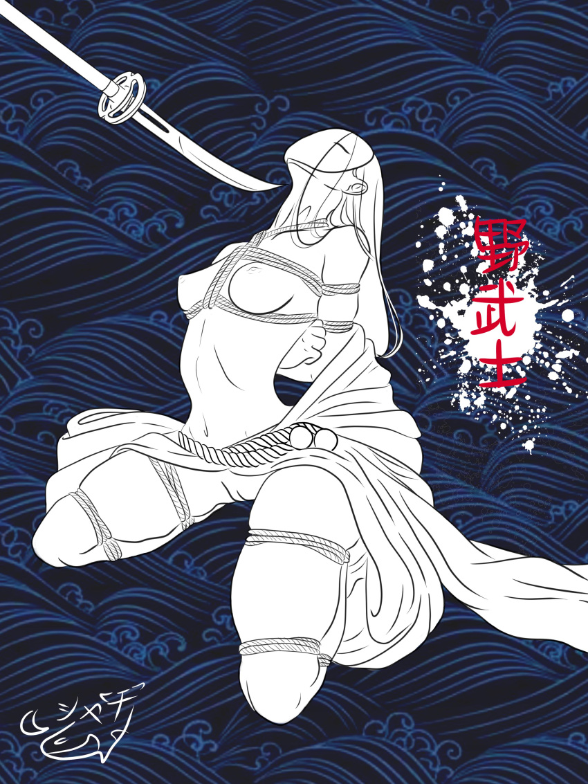 Nobushi (For Honor) Rule 34 Image