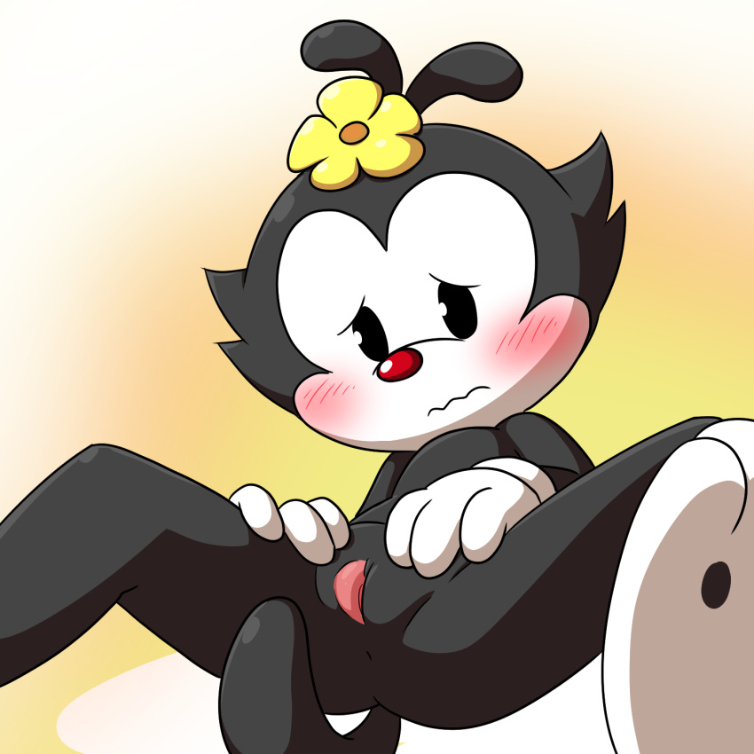 1girls animaniacs anonymous_artist anthro anus ass blush dot_warner female female_only flower fur no_humans nude pussy solo solo_female spread_pussy spreading warner_brothers