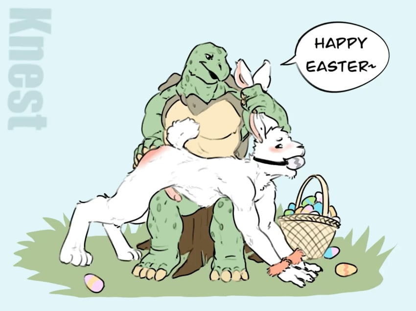 animated anthro ass ball_gag bent_over_knee blush cuff_(restraint) dialogue duo easter easter_bunny easter_egg erection gag holidays knest lagomorph leporid male male/male mammal rabbit red_butt reptile restraints scalie spanking tortoise tree_stump turtle