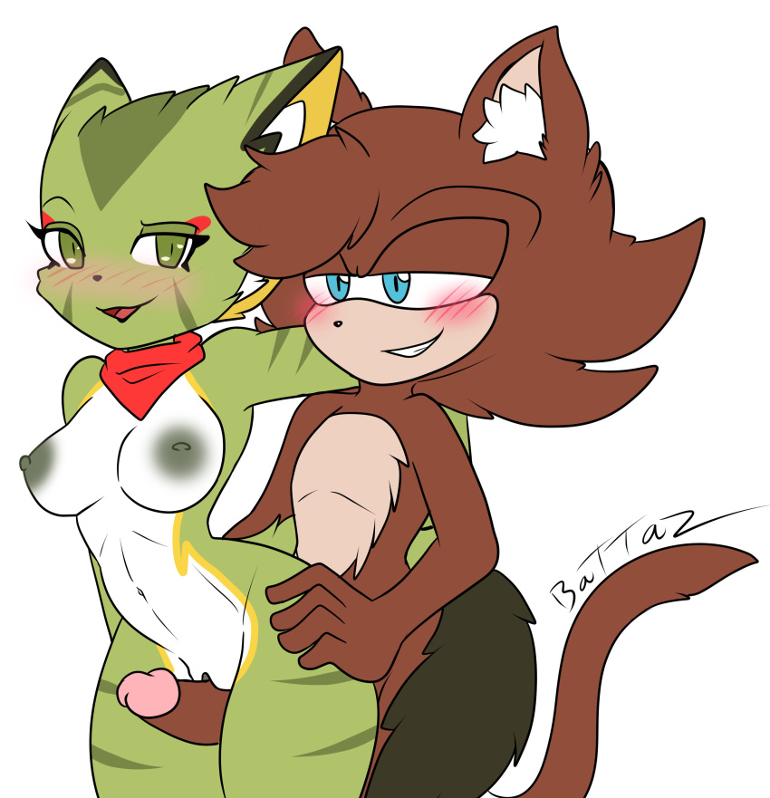 Carol Tea (Freedom Planet) Rule 34 Image