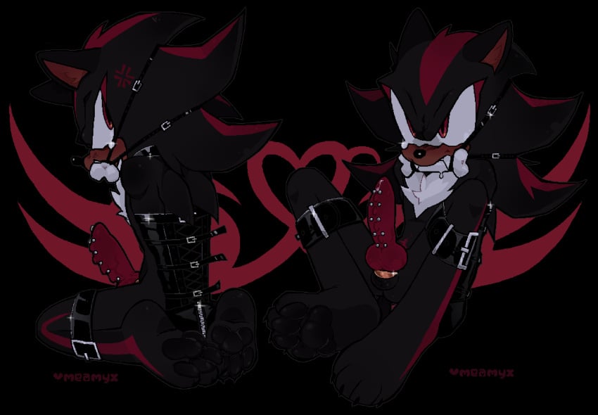 Shadow The Hedgehog (Sonic (Series)) Rule 34 Image
