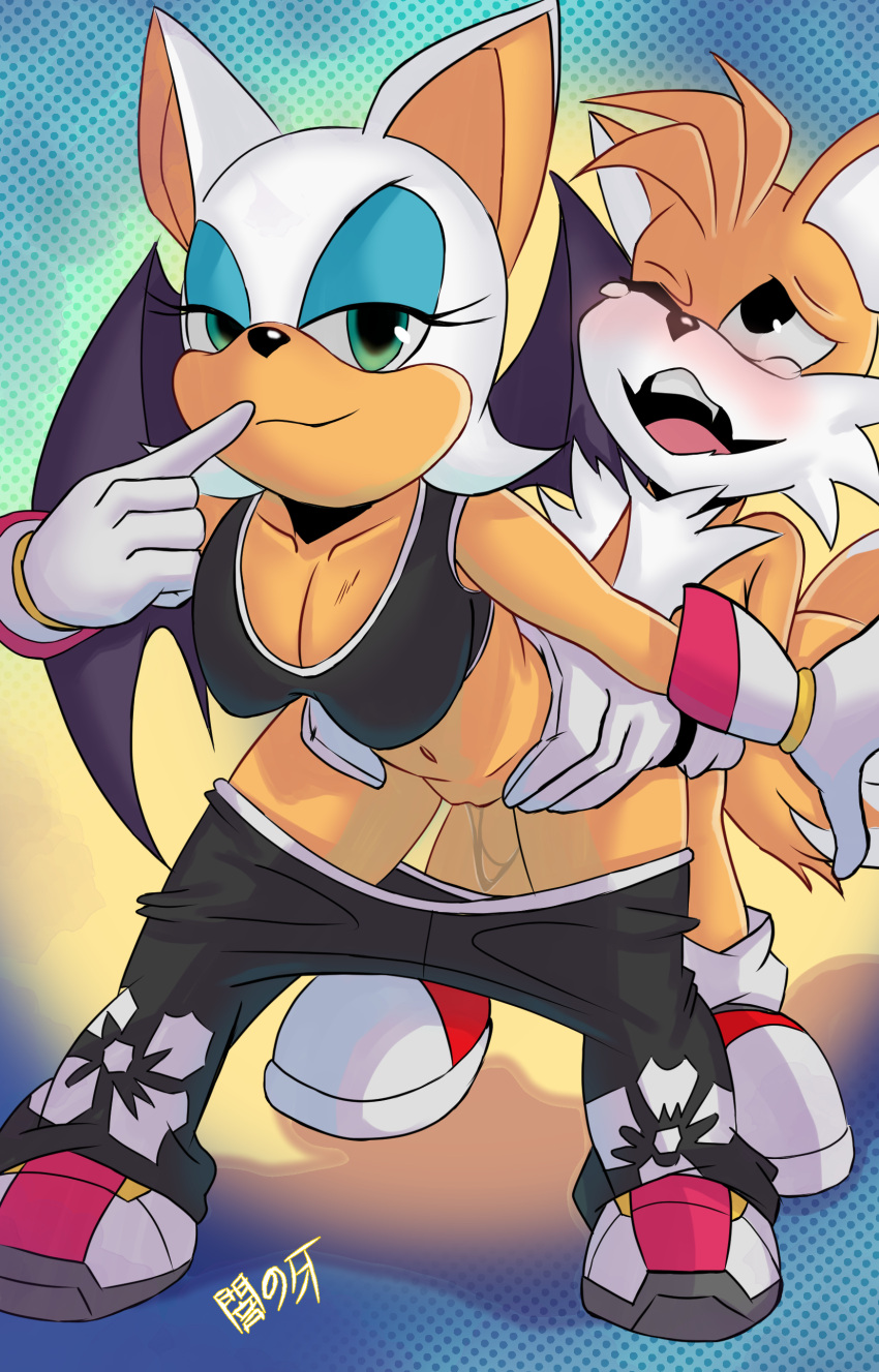 Sonic The Hedgehog (Comics) Rule 34 Image