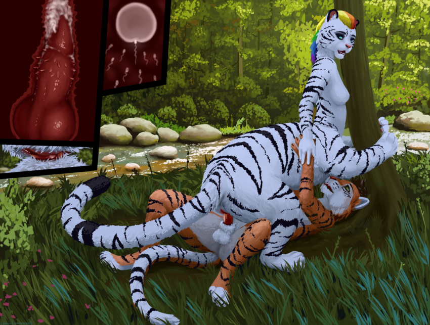 anthro duo felid female lemurlemurovich male male/female mammal pantherine taur tiger