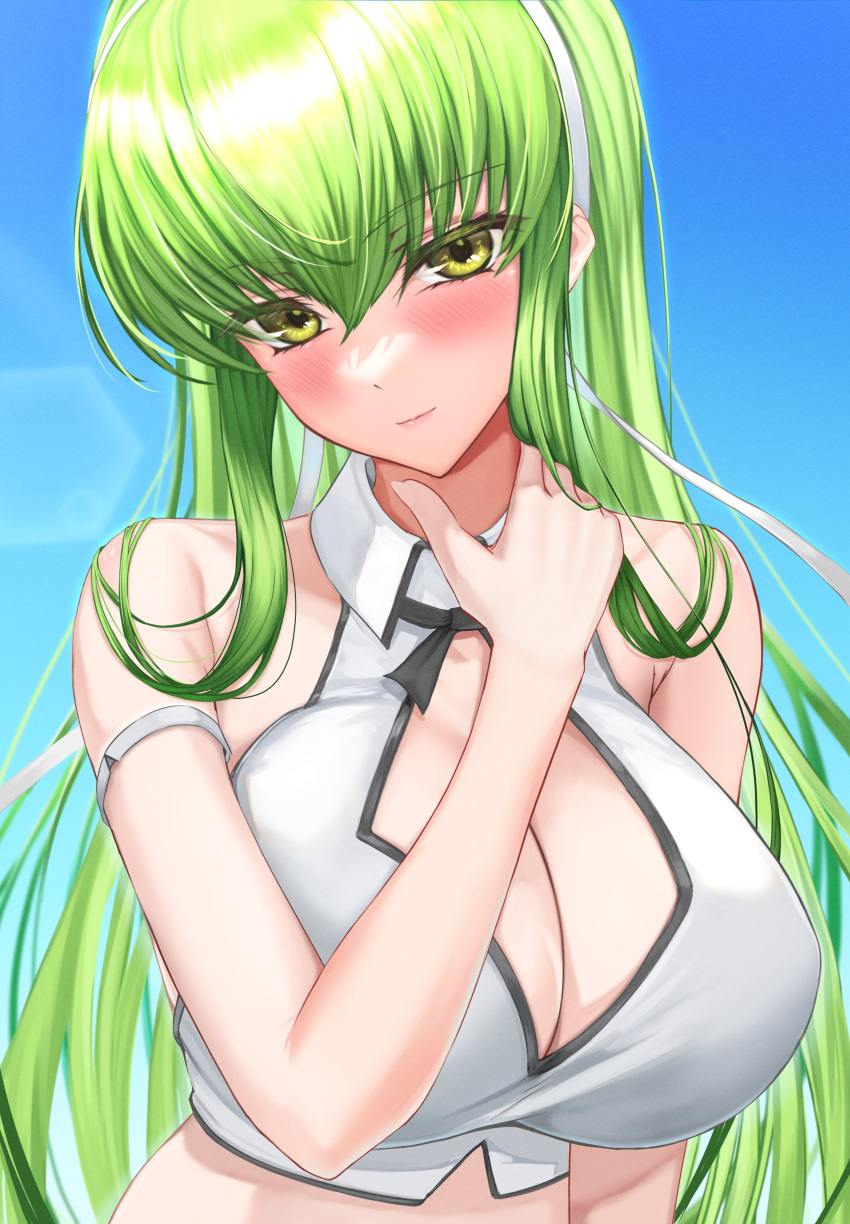 1girls big_breasts blush c.c. code_geass female female_only kaoru1307 large_breasts light-skinned_female light_skin looking_at_viewer no_bra outside smile solo tagme upper_body