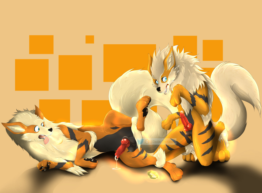 2boys arcanine canid canine dexter.98 dexterthekobold duo feral fire fire_stone fluffy fluffy_tail genitals hi_res knot male mammal neck_tuft nintendo penis pokemon pokemon_(species) transformation tuft video_games