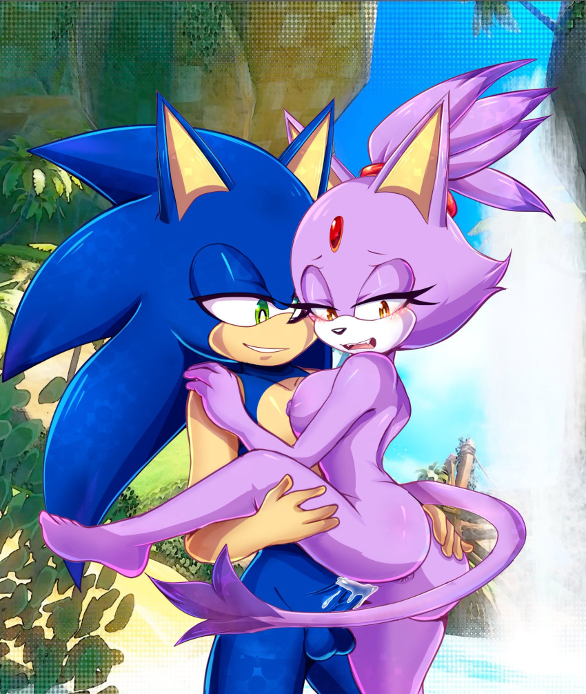 1boy 1girls alternate_version beach beach_sex blaze_the_cat blue_fur breasts ch4ng3 dsaiandrew erect_penis female lavender_fur male penetration sega sex sonaze_ sonic_(series) sonic_the_hedgehog sonic_the_hedgehog_(series) standing_sex straight vaginal_juices