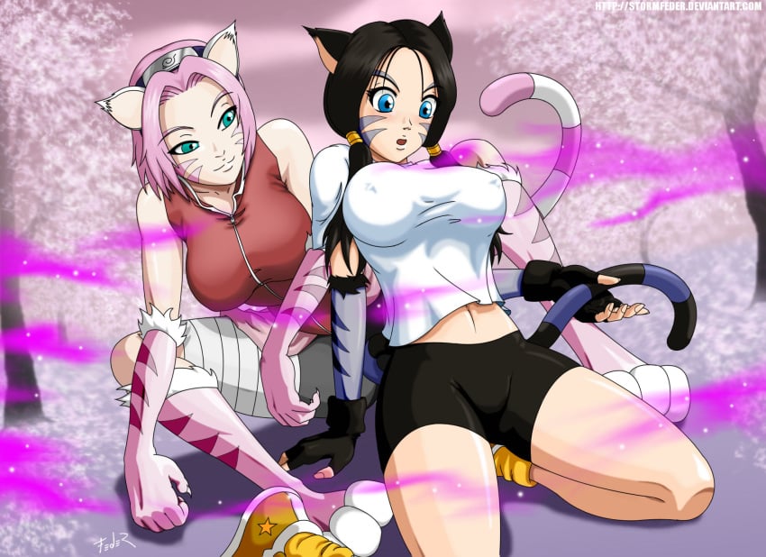 2010s 2013 2girls anime black_bottomwear black_hair blue_eyes breasts cat_ears cat_tail catgirl claws clothed compression_shorts covered_breasts crossover dragon_ball dragon_ball_z feline female female_only fully_clothed green_eyes headband manga medium_hair mist moderate_tomboy naruto naruto_(series) naruto_shippuden pink_hair sakura_haruno short_hair shorts shounen_jump sitting_on_knees stormfeder strong_tomboy_(spectrum) tail_play tomboy tomboys transformation twintails videl yuri