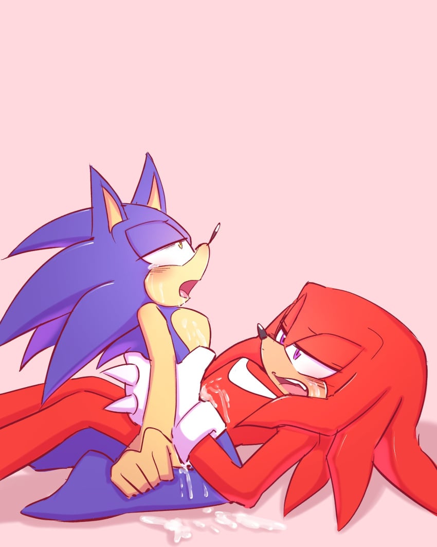 2boys anthro cum cum_inside cum_on_body furry gay gay_sex knuckles_the_echidna male male_only sega sex sonic_(series) sonic_the_hedgehog sonic_the_hedgehog_(series) sonknux tears yaoi