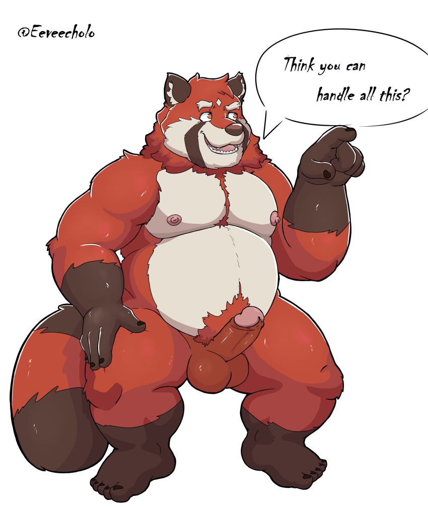 2022 absurd_res ailurid anthro balls belly brown_body dialogue eeveecholo english_text erection genitals hi_res humanoid_genitalia humanoid_hands humanoid_penis male mammal moobs nipples overweight overweight_male penis red_body red_panda simple_background solo text white_background white_body