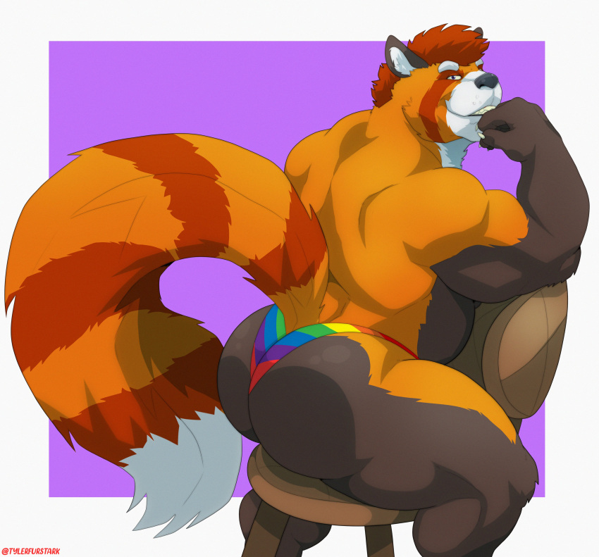 2022 absurd_res ailurid animal_humanoid anthro ass ass_focus ass_view back_muscles bara bara_ass barazoku biceps big_ass big_ass_(male) big_butt big_muscles border bubble_ass bubble_butt chair claws clothing dat_butt dumptruck_butt eyebrows fat_ass fat_butt fur furniture hair hi_res huge_ass huge_butt huge_muscles humanoid large_ass large_butt lgbt_history_month lgbt_pride looking_at_viewer male male_only mammal massive_ass massive_butt muscle_ass muscle_butt muscular muscular_anthro muscular_ass muscular_butt muscular_male plump_ass plump_butt pride_color_clothing pride_color_underwear pride_colors purple_background rainbow_pride_colors red_panda round_ass round_butt simple_background sitting smile solo teeth thick_thighs thong tuft tylerstark underwear white_border