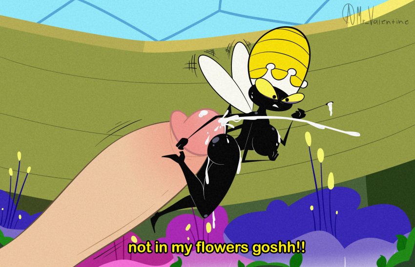 2022 4_arms absurd_res anthro arthropod ass bee black_body bodily_fluids breasts cum cumshot detailed_background dialogue disembodied_penis duo ejaculation english_text erection female female_focus female_on_human flying genital_fluids genitals hanna-barbera hi_res hot_dogging human human_on_anthro hymenopteran insects interspecies larger_human larger_male macro male male/female male_human/female_anthro male_on_anthro mammal micro micro_on_macro mr_valentine00 multi_arm multi_limb penis pointed_tail queen_bea secret_squirrel_show size_difference smaller_anthro smaller_female solo_focus text toony unseen_male_face unwanted_cumshot unwanted_ejaculation