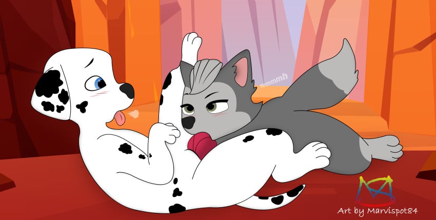 absurd_res canid canine canis dalmatian domestic_dog duo female feral gasket_(paw_patrol) genitals hi_res husky male male/female mammal marshall_(paw_patrol) marvispot84 nickelodeon nordic_sled_dog paw_patrol penis sex spitz