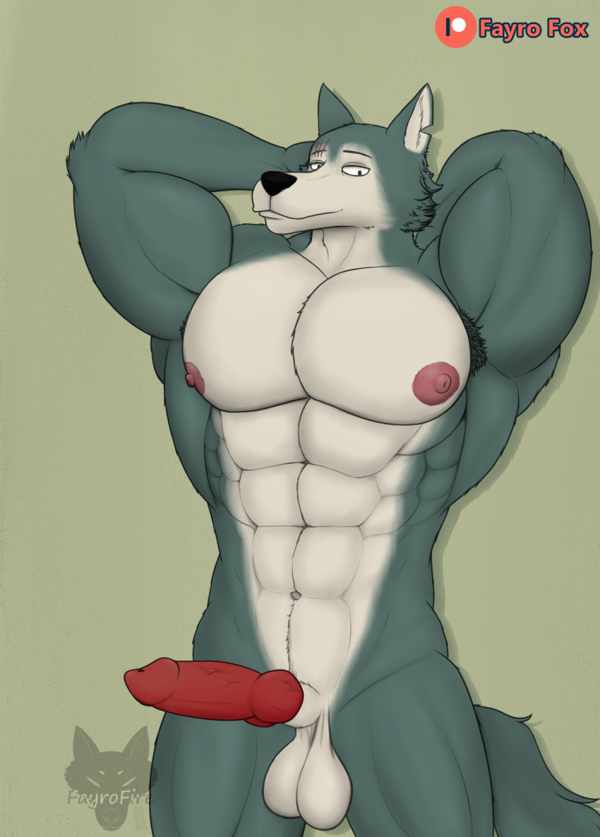 abs balls barazoku beastars biceps big_balls big_penis canid canine canis fayrofire genitals hi_res invalid_tag legoshi_(beastars) male male_only mammal muscular muscular_male pecs penis wolf