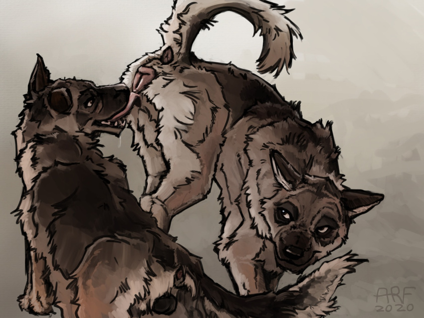 2020 Rule 34 Image
