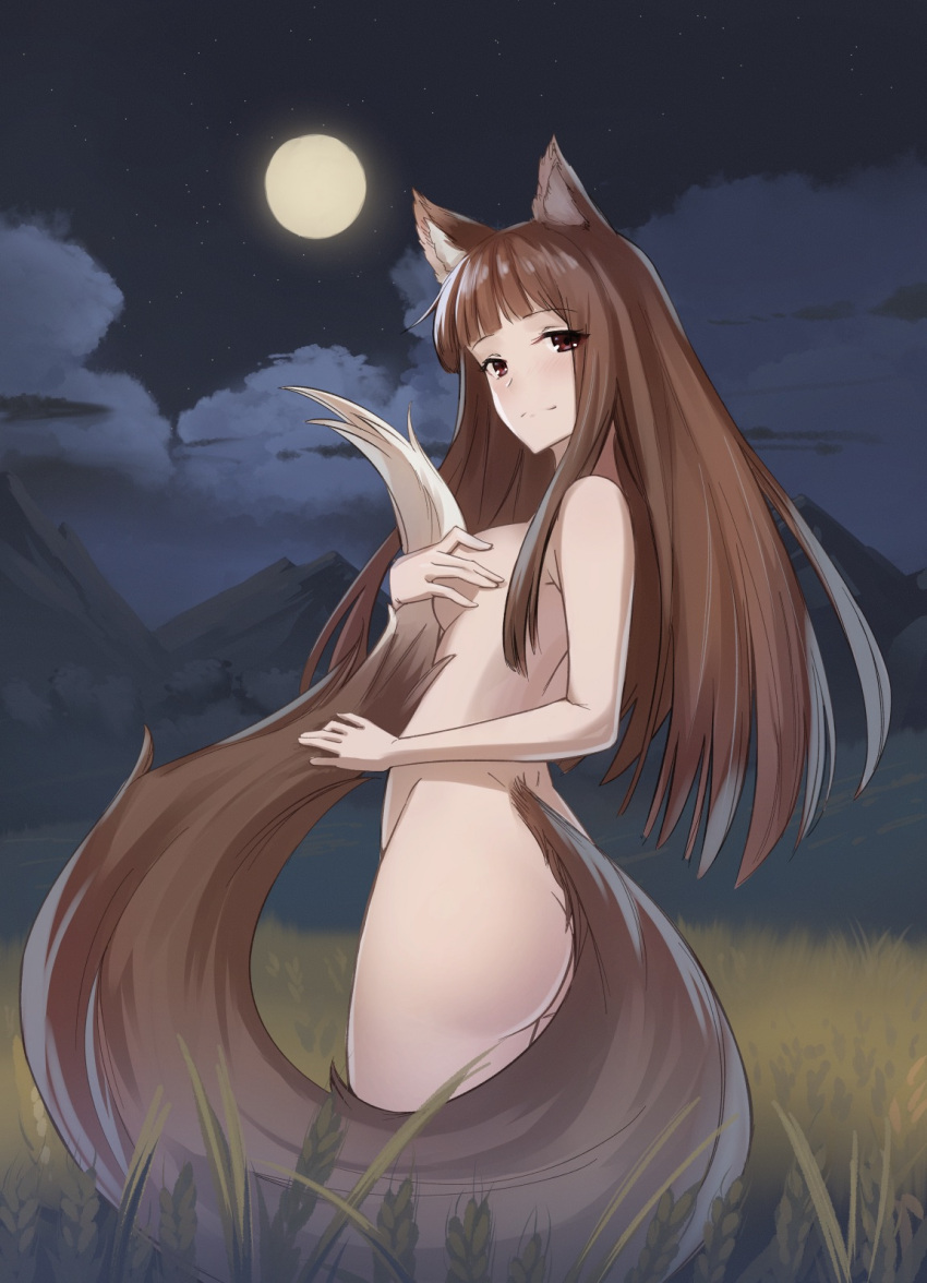 1girls animal_ears bangs blush brown_eyes brown_fur brown_hair completely_nude convenient_censoring covered_nipples covering_breasts covering_self detailed_background female female_only fur furry_tail holo kemonomimi long_hair looking_at_viewer looking_back night nstch_root_a nude outside sideboob small_breasts smile solo spice_and_wolf tail wolf_ears wolf_girl wolf_tail