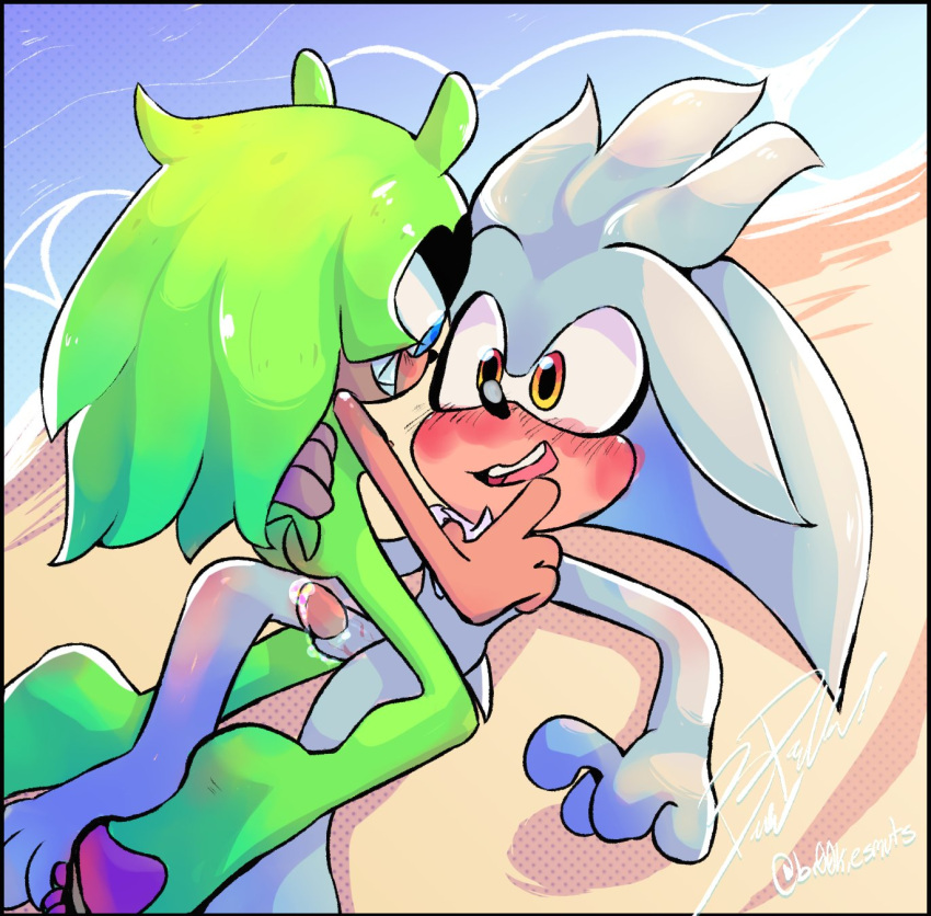 Mobian (Species) Rule 34 Image