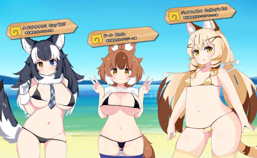 beach big_breasts bikini black_hair blonde_hair blue_eyes brown_hair cameltoe cat_ears cat_tail catgirl character_name dhole_(kemono_friends) dog_ears dog_tail erect_nipples_under_clothes flat_chest flat_chested geoffroy's_cat_(kemono_friends) grey_wolf_(kemono_friends) heterochromia japanese_text kemono_friends large_breasts micro_bikini mihihusuzu nipples_visible_through_clothing ocean orange_eyes small_breasts swimsuit third-party_edit twintails wolf_ears wolf_tail yellow_eyes