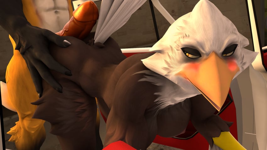 1boy 1girls 3d_(artwork) abs accipitrid accipitriform anthro ass avian bald_eagle beak bent_over big_butt big_penis bird blush breasts canid canine car digital_media_(artwork) duo eagle erection faceless_character faceless_male feathers female fox from_behind_position genitals hand_on_butt hi_res hot_dogging kyleroo looking_at_another looking_back male male/female male_anthro male_anthro/female_anthro mammal muscular muscular_male nipples nude outside penis petruz_(copyright) sea_eagle seductive sex smile source_filmmaker vehicle