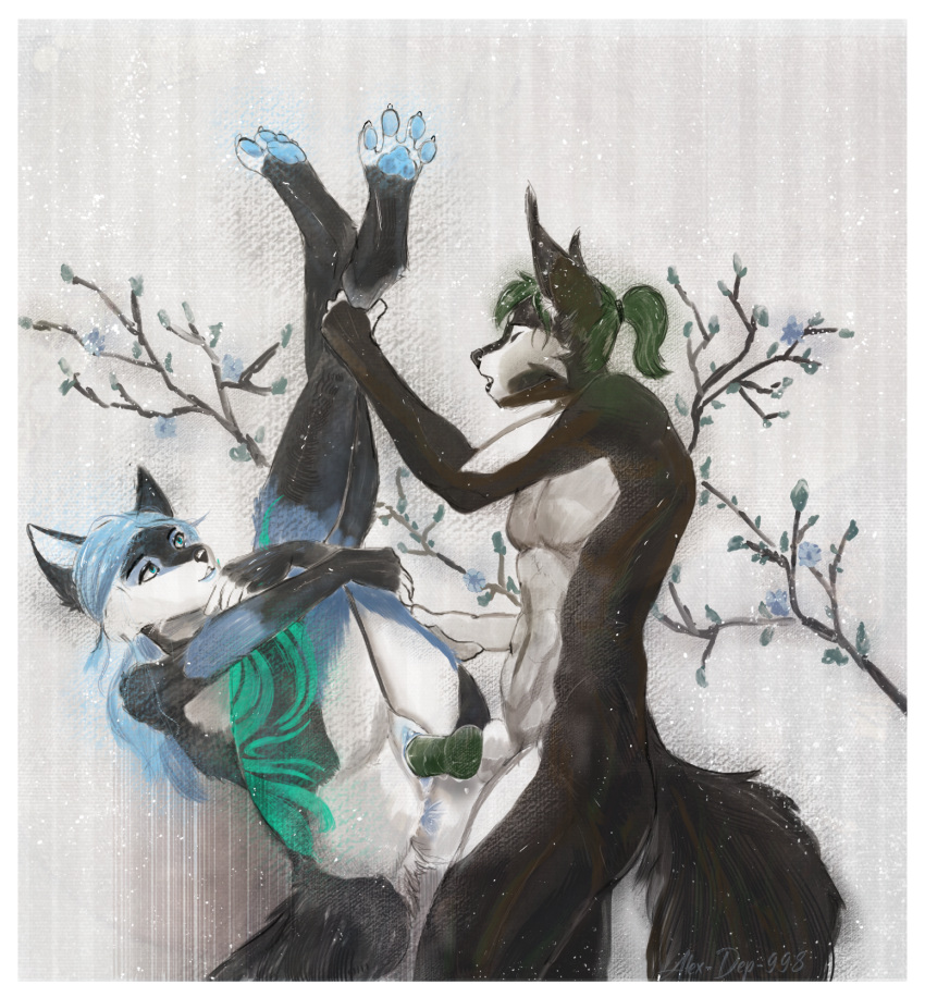 alex-dep-998 anal anthro arctic_fox canid canine cherry_blossom cherry_blossom_tree cherry_tree duo female flower fox fruit_tree genitals grabbing_legs hi_res highlights_(coloring) in_heat knot leg_grab male male/female mammal muscular original_characters paws plant pussy tattoo tree