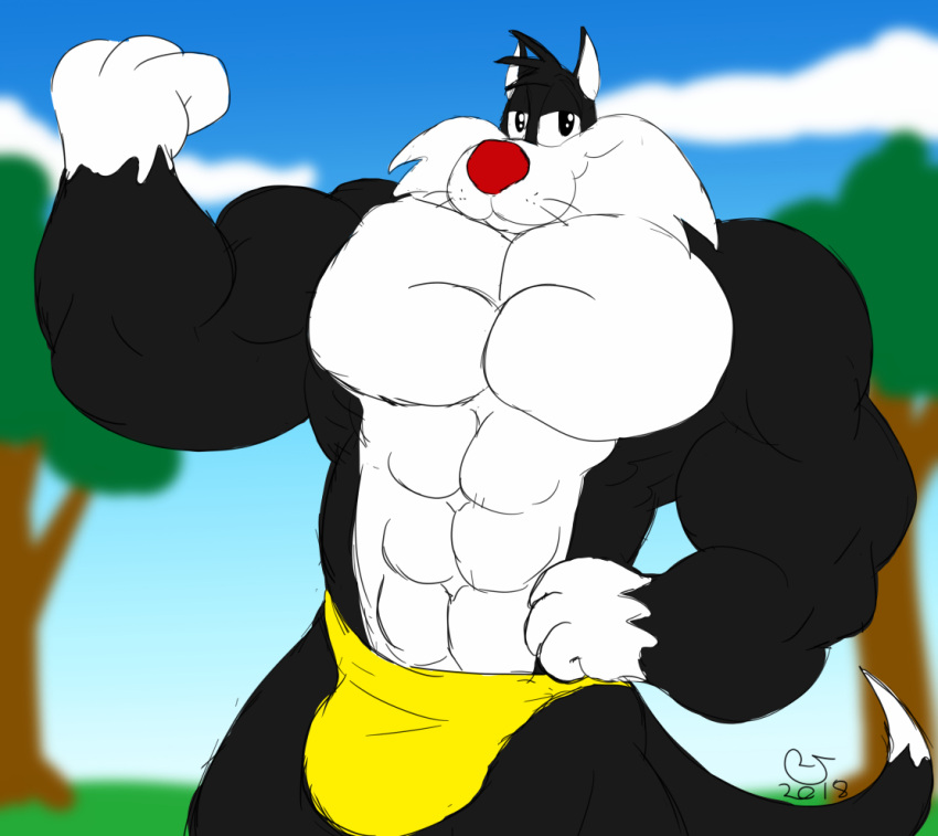 bara barazoku bulge domestic_cat looney_tunes male male_only muscles muscular muscular_male only pecs red_nose respect_sylvester smooth_fur sylvester sylvester_the_cat thong two_tone_fur warner_brothers