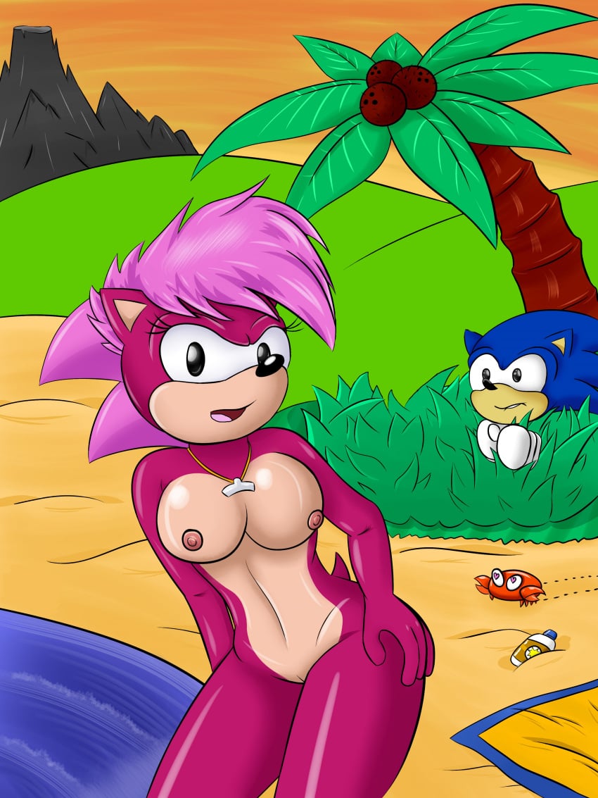 beach brother_and_sister brother_spying_on_sister mobian_(species) naked pervert_brother sonia_the_hedgehog sonic_(series) sonic_the_hedgehog sonic_the_hedgehog_(series)