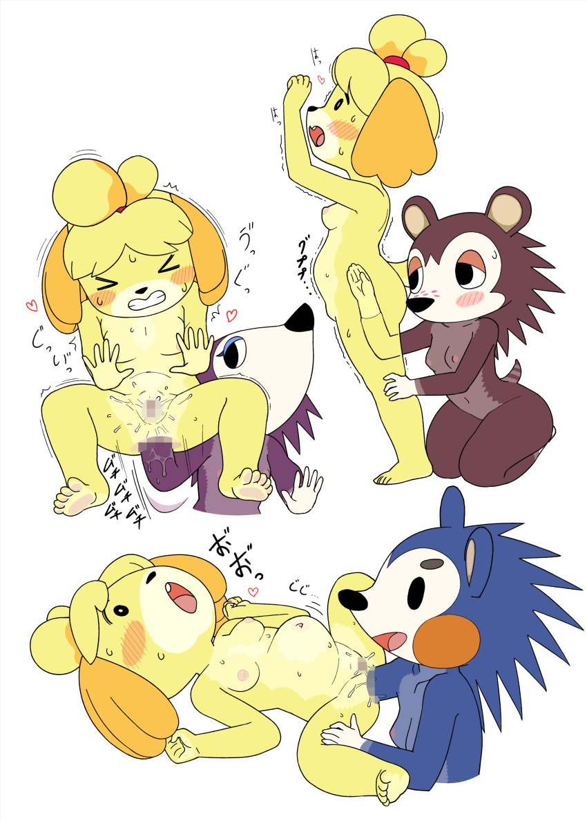 absurd_res anal anal_fisting anal_sex animal_crossing canid canine canis censored domestic_dog eulipotyphlan female female/female fisting hedgehog hi_res isabelle_(animal_crossing) labelle_able mabel_able mammal nintendo o-den penetration sable_able stomach_bulge video_games