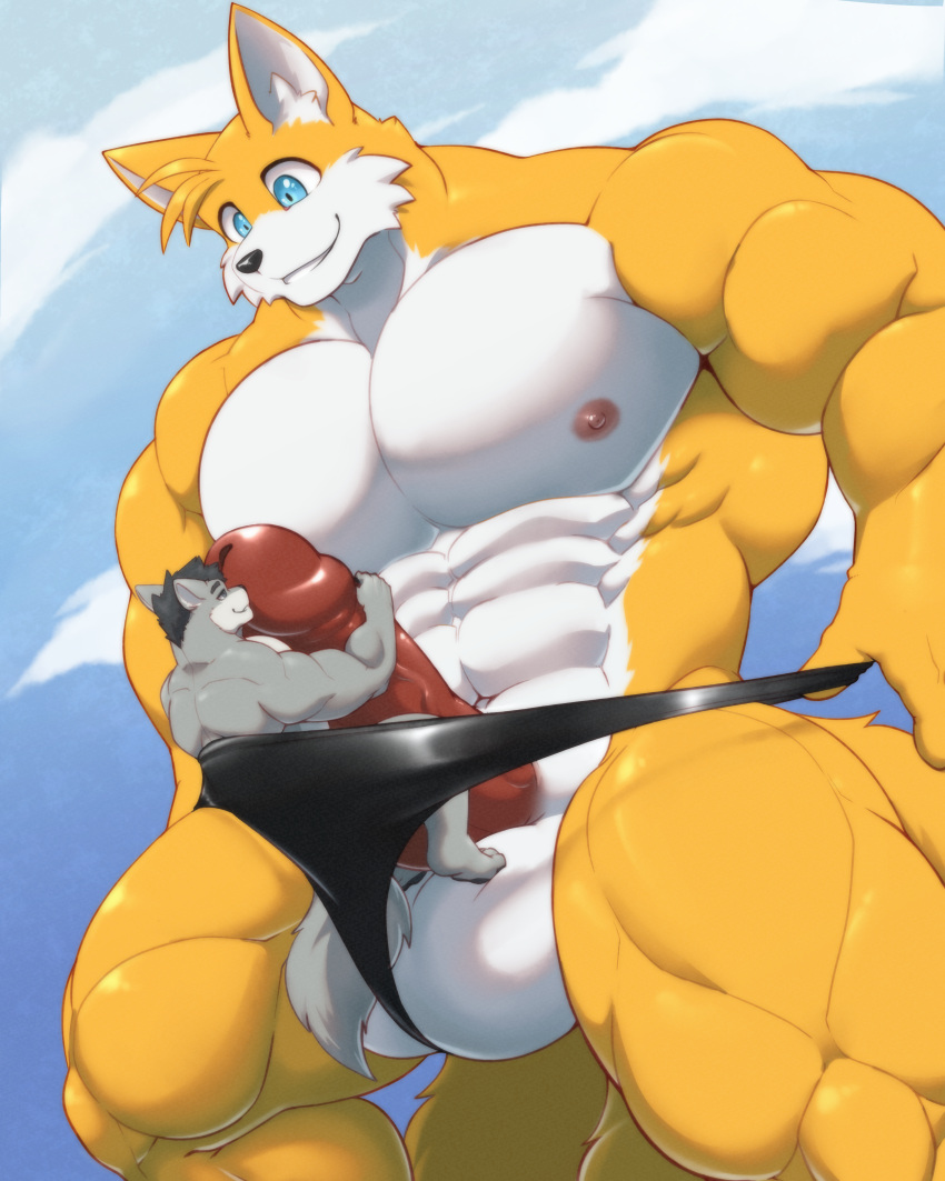 abs absurd_res aged_up anthro balls big_muscles black_clothing black_hair black_nose black_speedo black_swimwear blue_eyes canid canine canis clothing croiyan duo embrace fox fur genitals grey_body grey_fur hair hi_res hug huge_muscles jake_(jakewolf00) macro male male/male male_only mammal muscular navel nipples obliques pecs penis penis_hug quads sega size_difference smile sonic_(series) sonic_the_hedgehog_(series) speedo swimwear tails wolf yellow_body yellow_fur