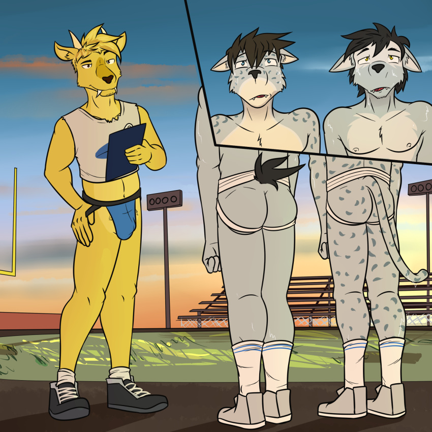 anthro athlete bleachers bodily_fluids canid canine canis cervid cervine clipboard clothing coach coywolf crop_top dj_strap duke_(fuze) fangs felid football_field footwear fur fuze goalpost grey_body grey_fur group hi_res horn hybrid jockstrap male male/male male_only mammal midriff muntjac outside pantherine shirt shoes snow_leopard socks sweat topwear trio underwear viktor_(fuze) yellow_body yellow_fur