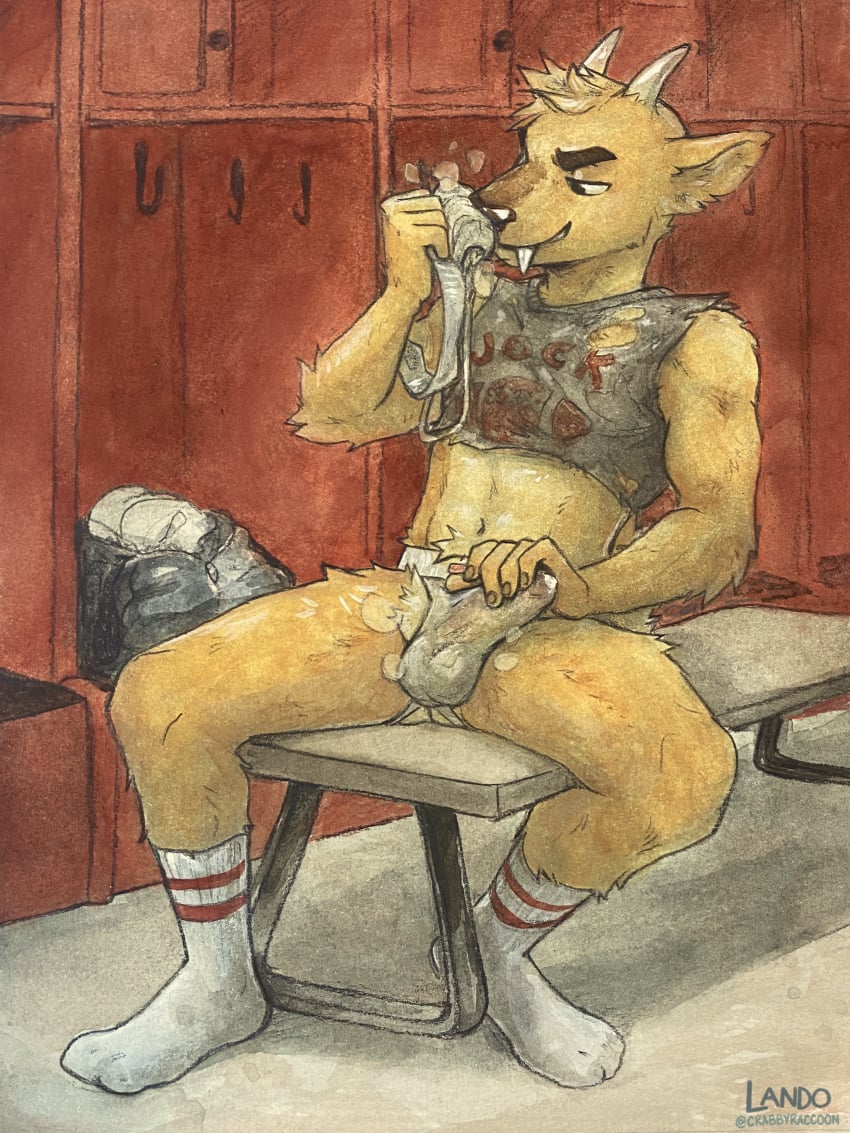 1boy absurd_res american_football anthro bench bodily_fluids bulge bulge_fondling cervid cervine clothing crop_top dj_strap fangs footwear fur genital_fluids hi_res horn inside jock_sniffer jockstrap locker_room male male_only mammal midriff muntjac musk precum precum_through_jockstrap shirt sicklyhypnos sitting sniffing socks solo sport sweat text text_on_clothing text_on_topwear topwear underwear underwear_sniffing yellow_body yellow_fur