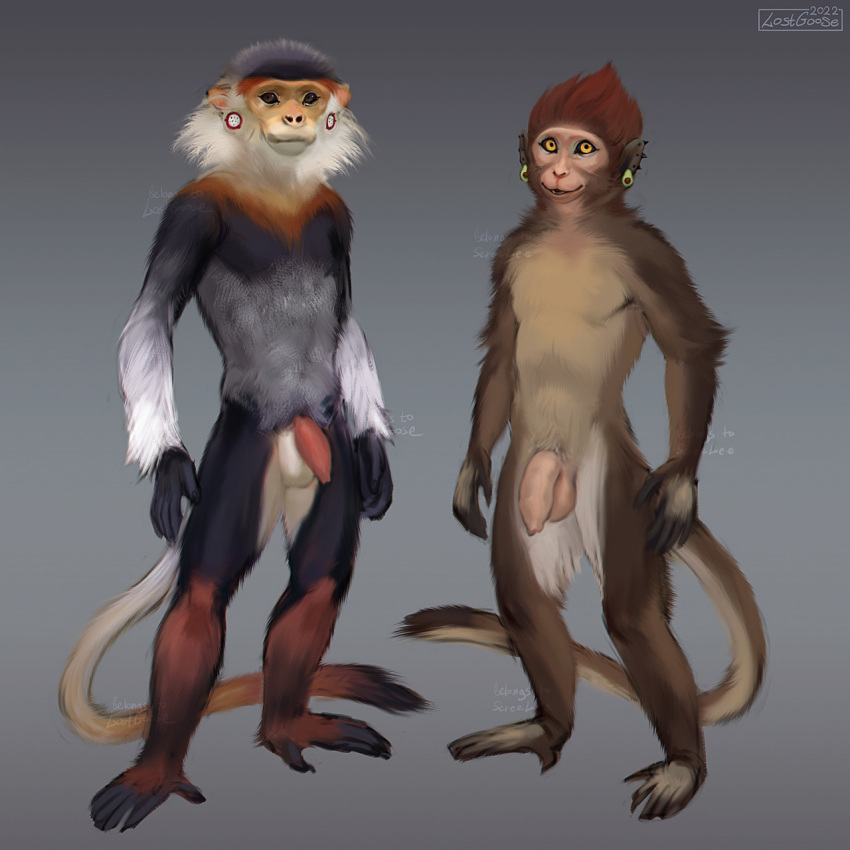 2022 anthro balls black_body brown_body duo foreskin fur genitals hair haplorhine hi_res humanoid_genitalia humanoid_penis looking_at_viewer lostgoose male mammal monkey nude penis pose presenting presenting_penis primate simple_background standing