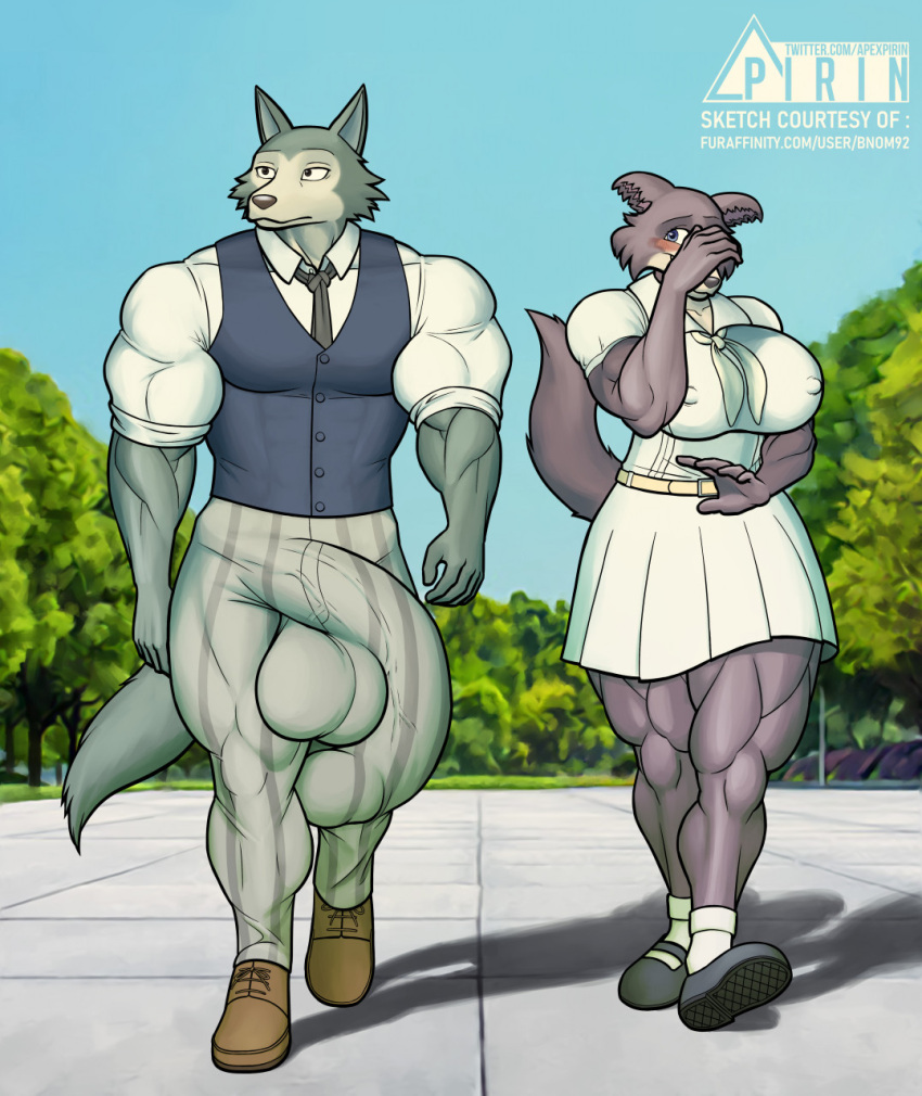 1boy 1girls anthro balls balls_outline beastars big_breasts big_penis blush bottomwear breasts bulge canid canine canis clothed clothing covering covering_face detailed_bulge duo female flaccid footwear fur genital_outline genitals hi_res huge_cock humanoid_genitalia humanoid_penis hyper hyper_genitalia hyper_penis juno_(beastars) legoshi_(beastars) looking_at_another looking_away male male/female mammal muscular muscular_anthro muscular_female necktie nipple_outline nipples penis penis_outline pirin-apex school_uniform shy skirt smile topwear uniform vest wolf