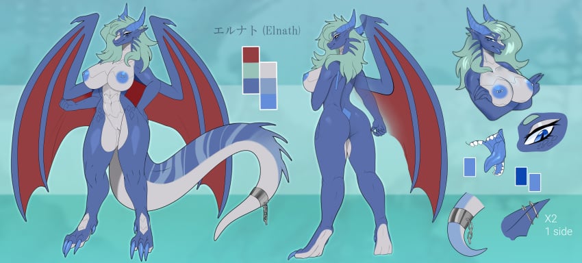 breast dragoness elnath_(sgako) female ref reference_image reference_sheet sheet vagina