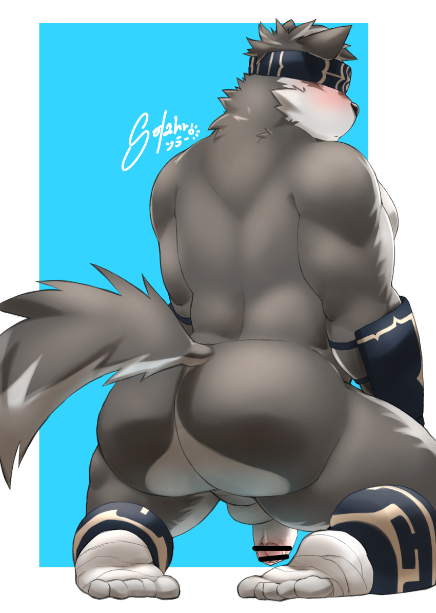 absurd_res anthro ass ass_focus back_muscles balls blindfold blush canid canine canis countershading fur gay genitals grey_body grey_fur hi_res horkeukamui kayashima_soru kneeling lifewonders male male_only mammal muscular muscular_anthro muscular_male nude penis solo tokyo_afterschool_summoners video_games wolf