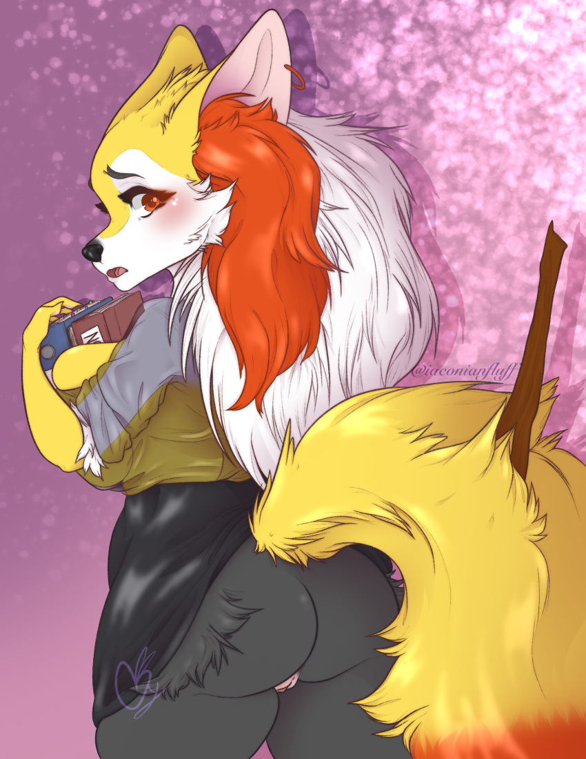 Braixen (Nintendo) Rule 34 Image
