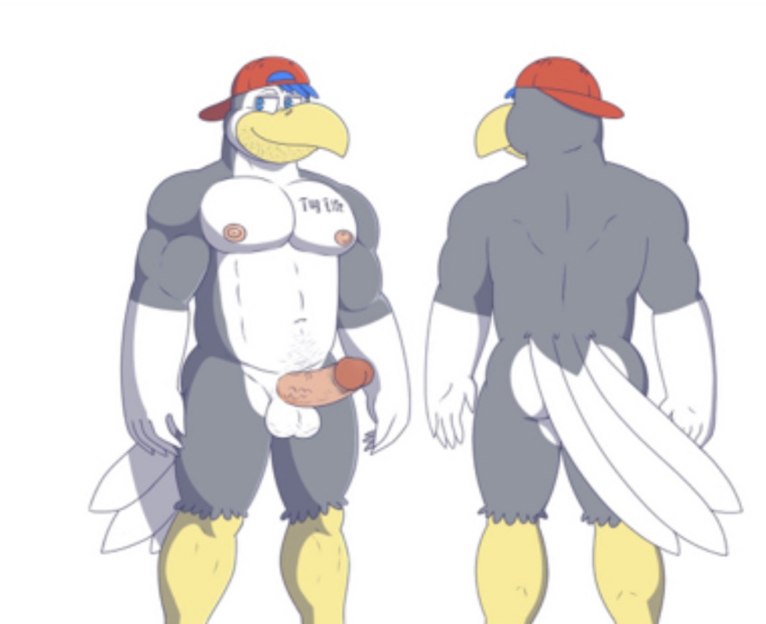 abs animal_humanoid anthro ass avian avian_humanoid backwards_baseball_cap backwards_hat balls baseball_cap beak blue_eyes blue_hair clothing feathers genitals grey_body grey_feathers hair hat headgear headwear humanoid male male/male nipples pecs penis rain-yatsu rear_view solo white_tail