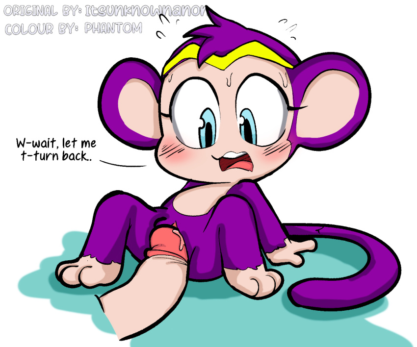 1boy 1girls ambiguous_fluids blush bodily_fluids duo english_text female feral game_(disambiguation) genitals haplorhine human interspecies itsunknownanon male male/female mammal monkey monkey_girl monkey_shantae on penis phantom primate pussy sex shantae shantae_(character) simple_background surprise sweat text video_games wayforward