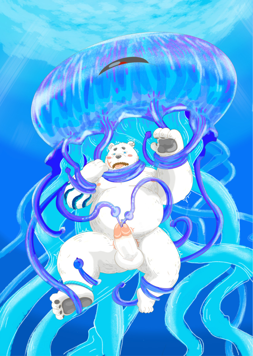 2022 anthro balls belly big_belly blush bodily_fluids bound cnidarian cum duo erection feet feral fur genital_fluids genitals hi_res humanoid_genitalia humanoid_hands humanoid_penis jellyfish kemono male male_only mammal marine medusozoan moobs morino8484 nipples overweight overweight_male penetration penis polar_bear scar tentacle underwater urethral urethral_penetration ursid ursine water white_body white_fur