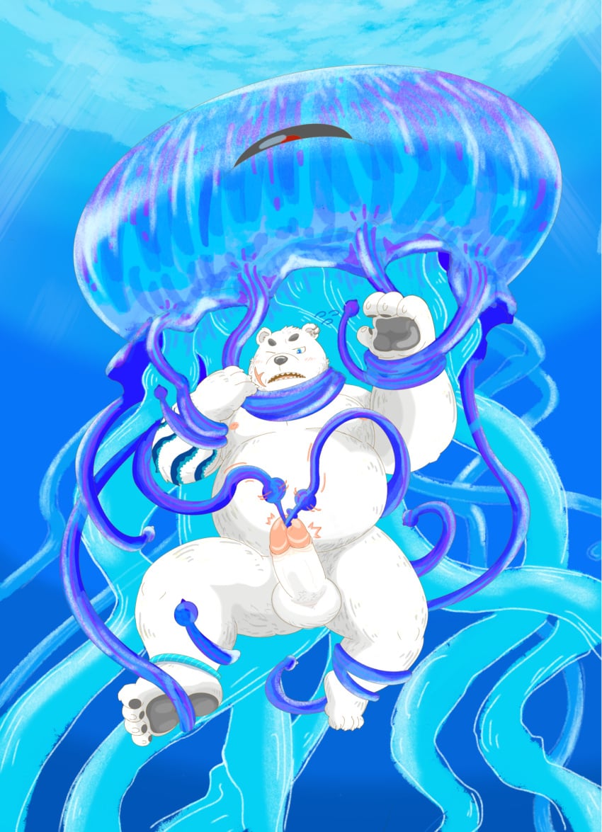 2022 anthro balls belly big_belly bound cnidarian duo erection feet feral fur genitals hi_res humanoid_genitalia humanoid_hands humanoid_penis jellyfish kemono male male_only mammal marine medusozoan moobs morino8484 nipples one_eye_closed overweight overweight_male penetration penis polar_bear scar tentacle underwater urethral urethral_penetration ursid ursine water white_body white_fur