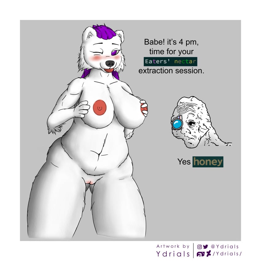 1:1 absurd_res anthro belly big_breasts blush breast_grab breasts caves_of_qud chubby_anthro chubby_female dick_flattening digital_media_(artwork) duo english_text exposed_breasts female fur genitals hair hand_on_breast hi_res human male mammal meme nipples nude one_eye_closed open_mouth paws pink_nipples purple_eyes purple_hair pussy q_girl_(caves_of_qud) shaded shitpost simple_background slightly_chubby solo solo_focus text thick_thighs tongue tongue_out ursid ursine_ears video_games white_body white_fur wide_hips wojak ydrials